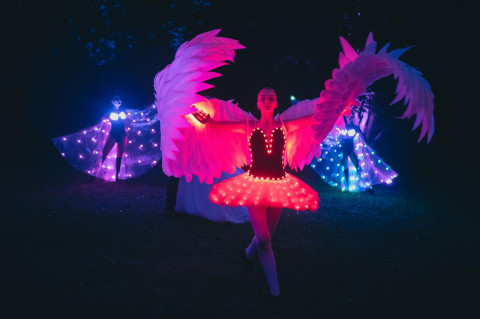 Wedding Licht- & Tanz-Show, Feuerwerk · Lasershow Augsburg, Kontaktbild